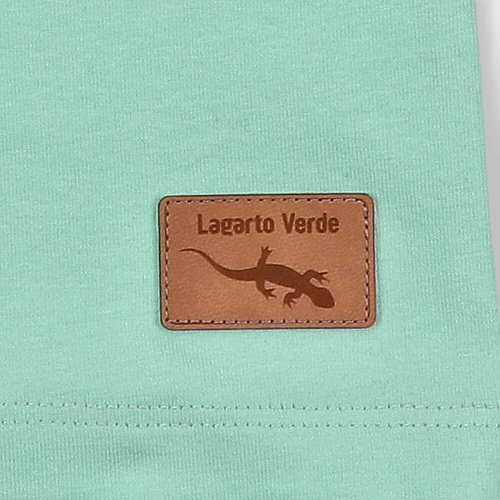 T-shirt dla chłopca KAR-2002/PIS Lagarto Verde pistacjowy 