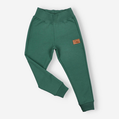 Lagarto Verde Spodnie dresowe dla chłopca-  zielony