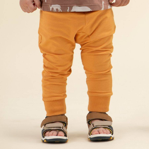 Leginsy gładkie Safari Pinokio - pomarańczowy 