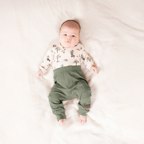 Spodnie Nicol Yogi Bear 218016 – zielone, prążek