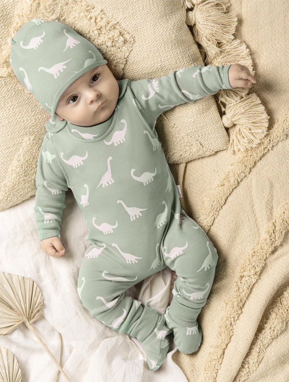 195055 Iwo Czapeczka Nicol