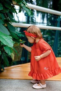 Sukienka bawełniana "CORAL REEF" Ewa Klucze- czerwona