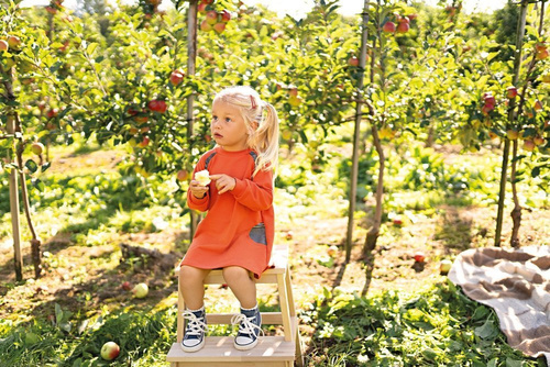 Tunika dresowa Adventure Ewa Klucze- rudy