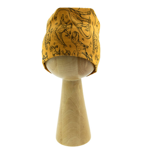 Czapeczka 200060 Tirex Nicol