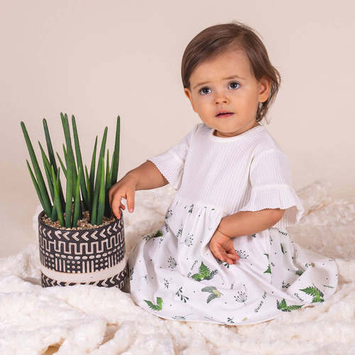 141242 Forest Sukienka bawełniana Nicol