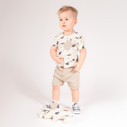 Spodenki krótkie 215187 Eddy Nicol