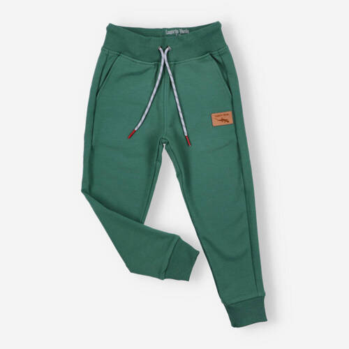 Lagarto Verde Spodnie dresowe dla chłopca- zielony