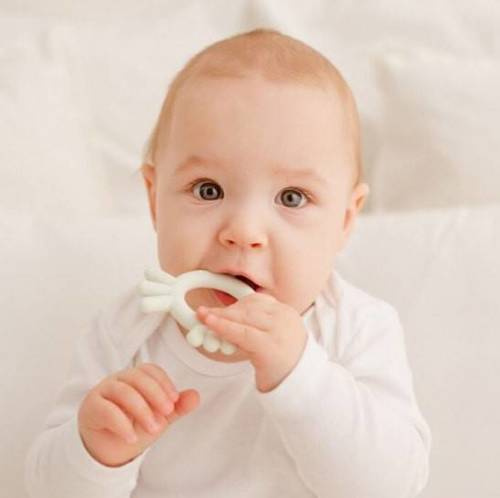 Kurczak gryzak DUMGG50204 Dumel miętowy