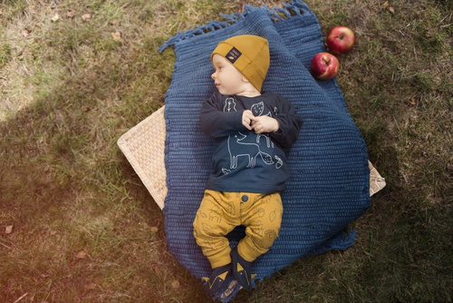 Bluzka z długim rękawem "Secret Forest" Pinokio - granat