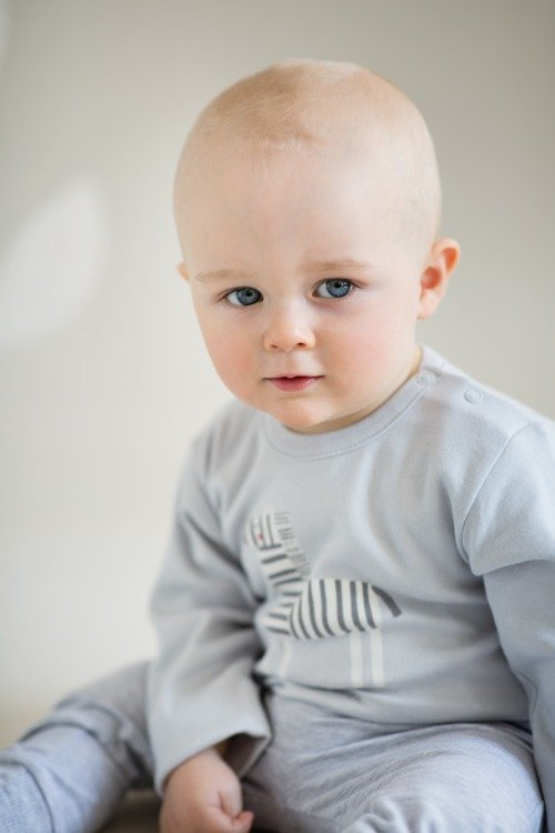 Body z długim rękawem "WILD ANIMALS" Pinokio - szare