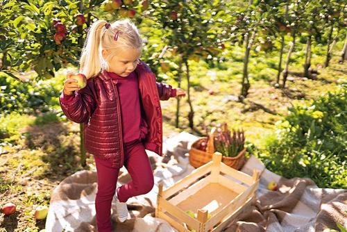 Kurtka "SIMPLY COMFY" z kapturem pikowana Ewa Klucze - bordo 