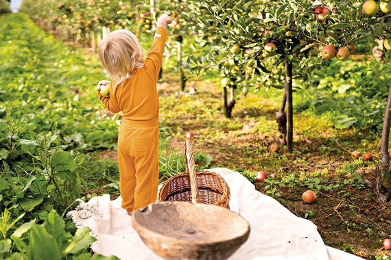 "Simply Comfy" Spodnie z guzikami Ewa Klucze- miodowy