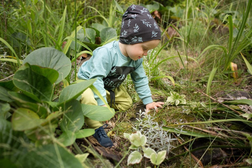 "Stay Green" Czapka Pinokio - grafit druk