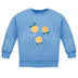 bluza