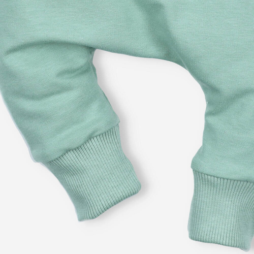 Spodnie dresowe z bawełny organicznej ABN-4518 Nini zielony 