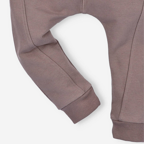 Spodnie dresowe z bawełny organicznej Skarby Jesieni Nini brązowy