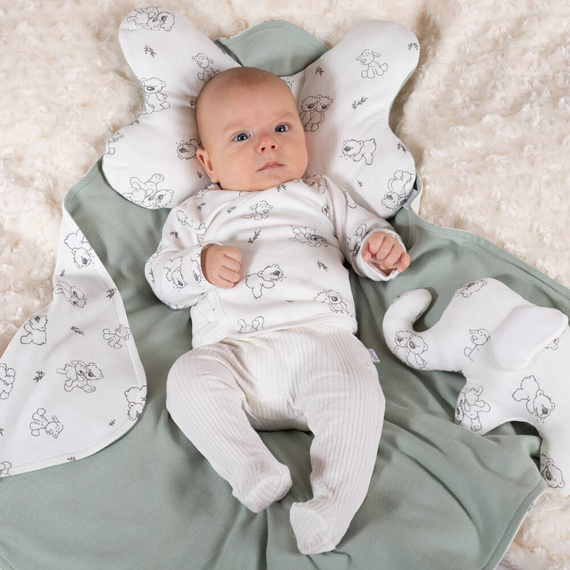 Półśpioch niemowlęcy 202010 Olaf Nicol