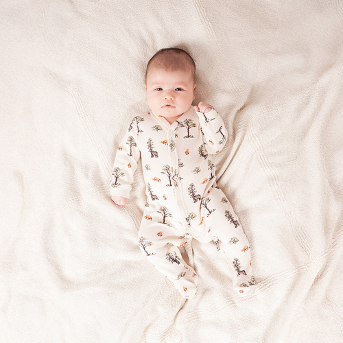 Pajac Nicol Yogi Bear 218031 – bawełniany, leśne zwierzątka