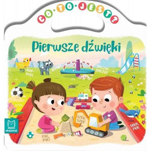 Książeczka  "Co to jest - pierwsze dźwięki" Aksjomat 